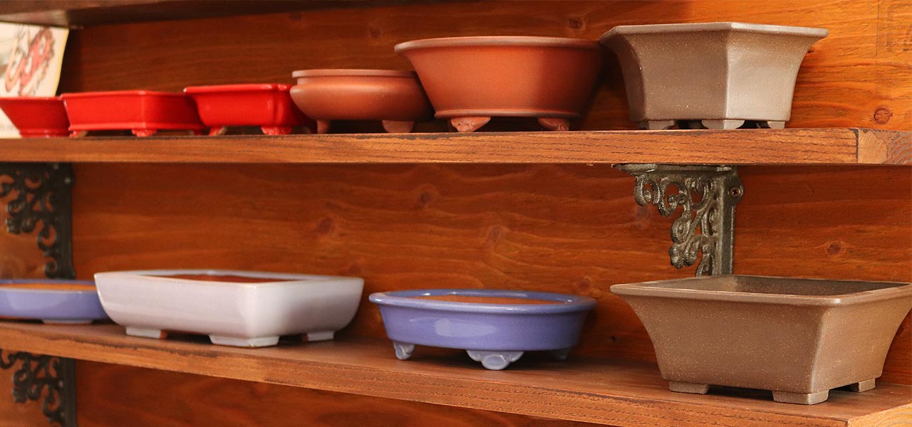 how to choose a bonsai pot
