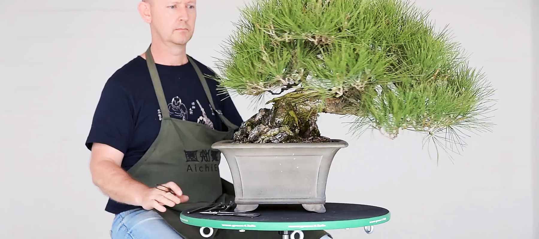 Japanese turntables collection bonsai