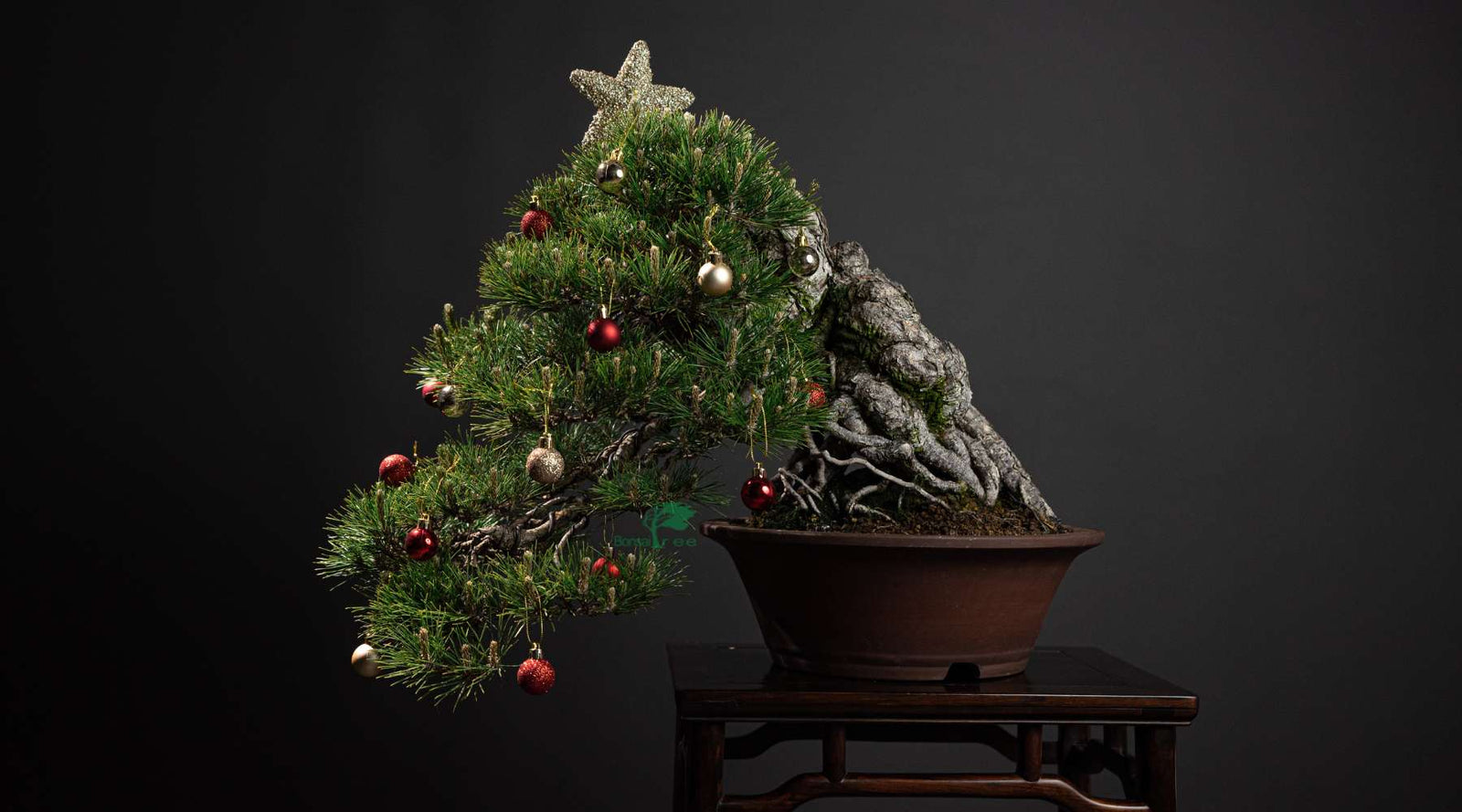 festive season Christmas gifts collection