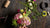 Flower Arrangement and Ikebana