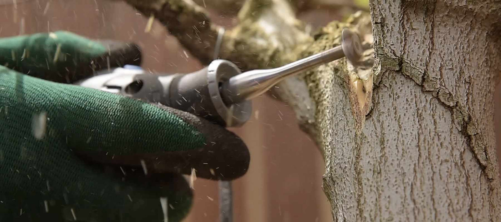 nibblers bonsai carving bits