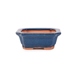 Assorted Glazed Bonsai Pots, 5" -  Blue Rectangle with Decorative, 12 x 10 x 4.5cm - Pots