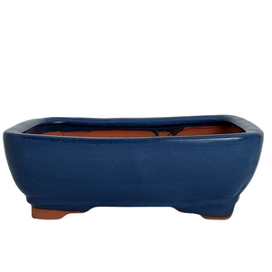 Assorted Glazed Bonsai Pots, 8" -  Blue Rectangular,  21 x 16 x 7cm - Pots