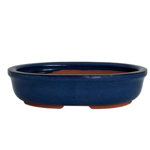 Assorted Glazed Bonsai Pots, 8" -  Blue Oval,  20 x 14 x 5cm - Pots