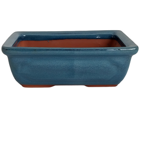 Assorted Glazed Bonsai Pots, 8" -  Dark blue Rectangular 21 x 15 x 7cm - Pots