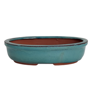 Assorted Glazed Bonsai Pots, 8" -  Green Oval 20 x 14 x 5cm - Pots