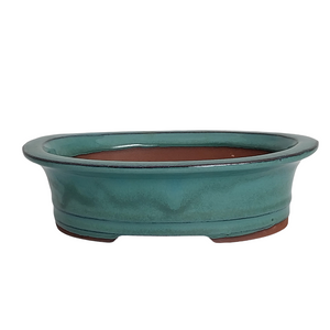 Assorted Glazed Bonsai Pots, 8" -  Green Oval with Lip, 20 x 17 x 5cm - Pots