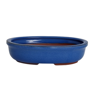 Assorted Glazed Bonsai Pots, 8" -  Light Blue Oval,  20 x 14 x 5cm - Pots
