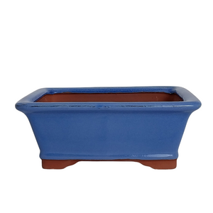 Assorted Glazed Bonsai Pots, 8" -  Light Deep Blue Rectangular 21 x 16 x 8cm - Pots