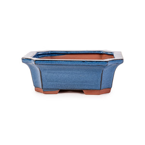 Assorted Glazed Bonsai Pots, 7" -  Blue Decorative Rectangular with 17 x 12 x 6cm - Pots