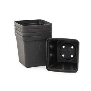 Square Plastic Pot, Black, 9cm -  5Pc Bulk Purchase container. - Plastics