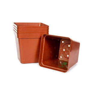 Square Plastic Pot, Terracotta, 12cm -  5Pc Bulk Purchase containers. - Plastics