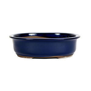 Japanese Ruri Glazed, Oval Container -  Large, 300(L) x 260(W) x 80mm(H) - Pots