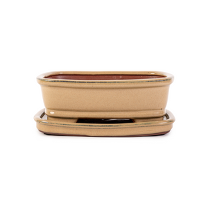 Assorted Glazed Bonsai Pots with Saucer, 8" -  Mustard Rectangular with matching saucer, 21 x 16 x 7cm - Pots