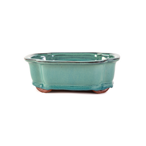 Assorted Glazed Bonsai Pots, 8" -  Green Rectangle ,  21 x 16 x 7cm - Pots