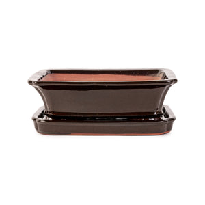 Assorted Glazed Bonsai Pots with Saucer, 8" -  Black Rectangle with matching saucer, 20 x 15 x 6cm - Pots