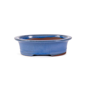 Assorted Glazed Bonsai Pots, 8" -  Light Blue Oval with Lip, 20 x 16 x 5cm - Pots
