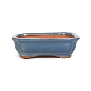 Assorted Glazed Bonsai Pots, 6" -  Blue rectangular, 16 x 12 x 5cm - Pots