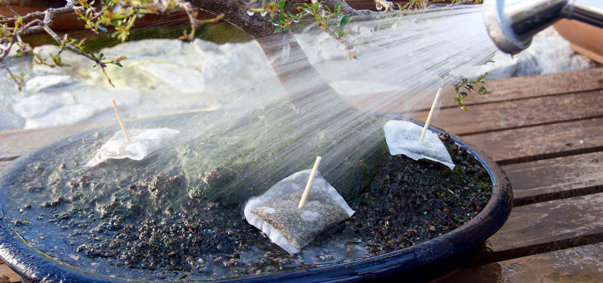 The Art of Watering
