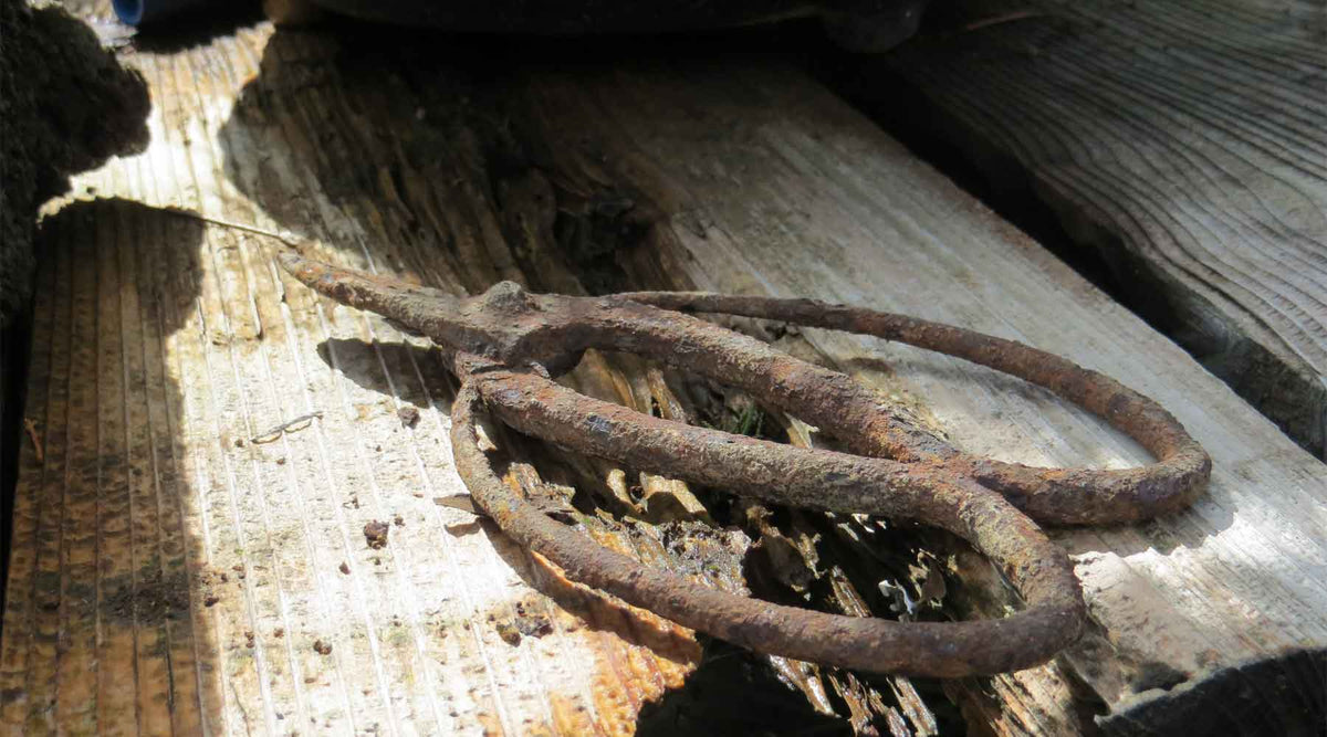 Bonsai tool care