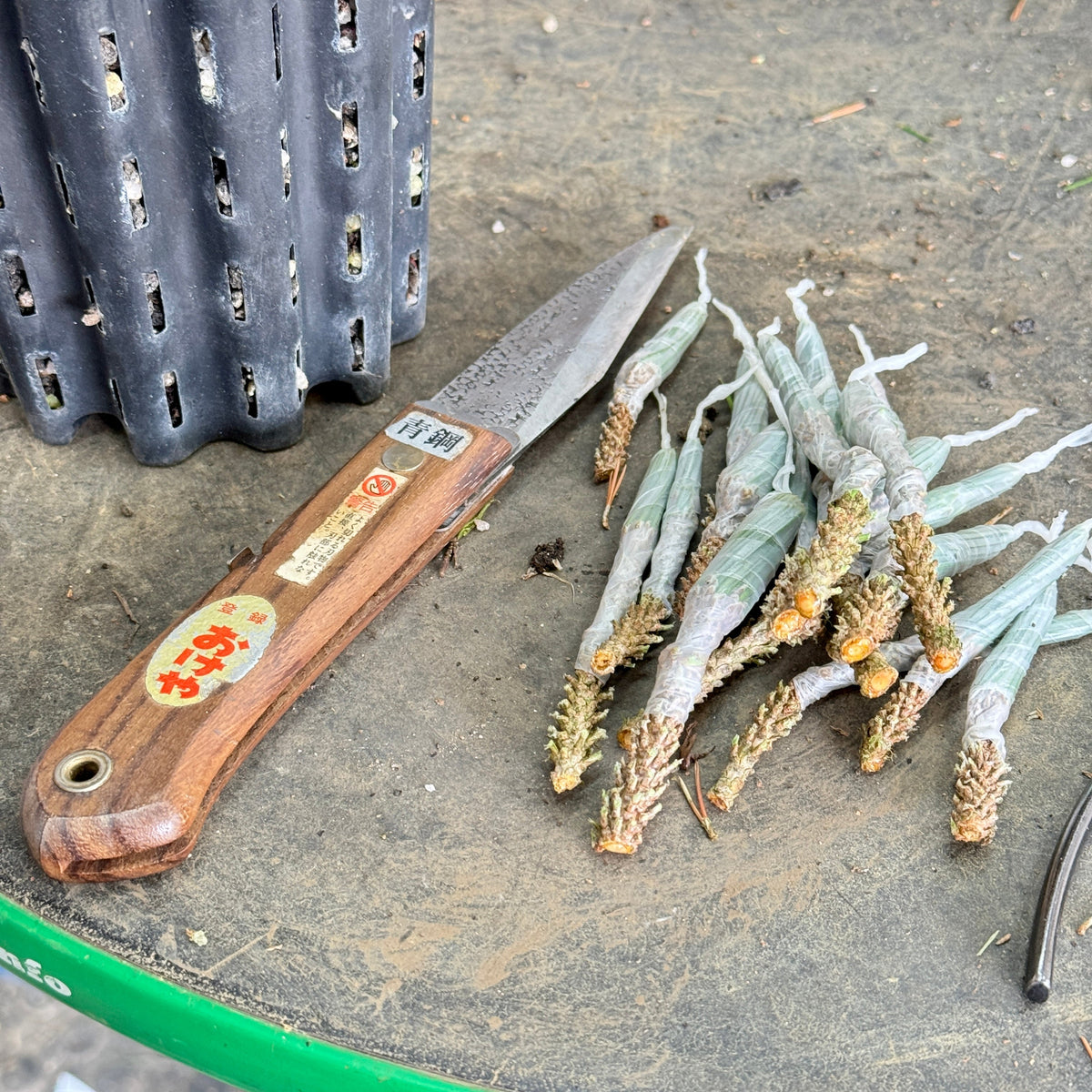 Grafting and Sealers