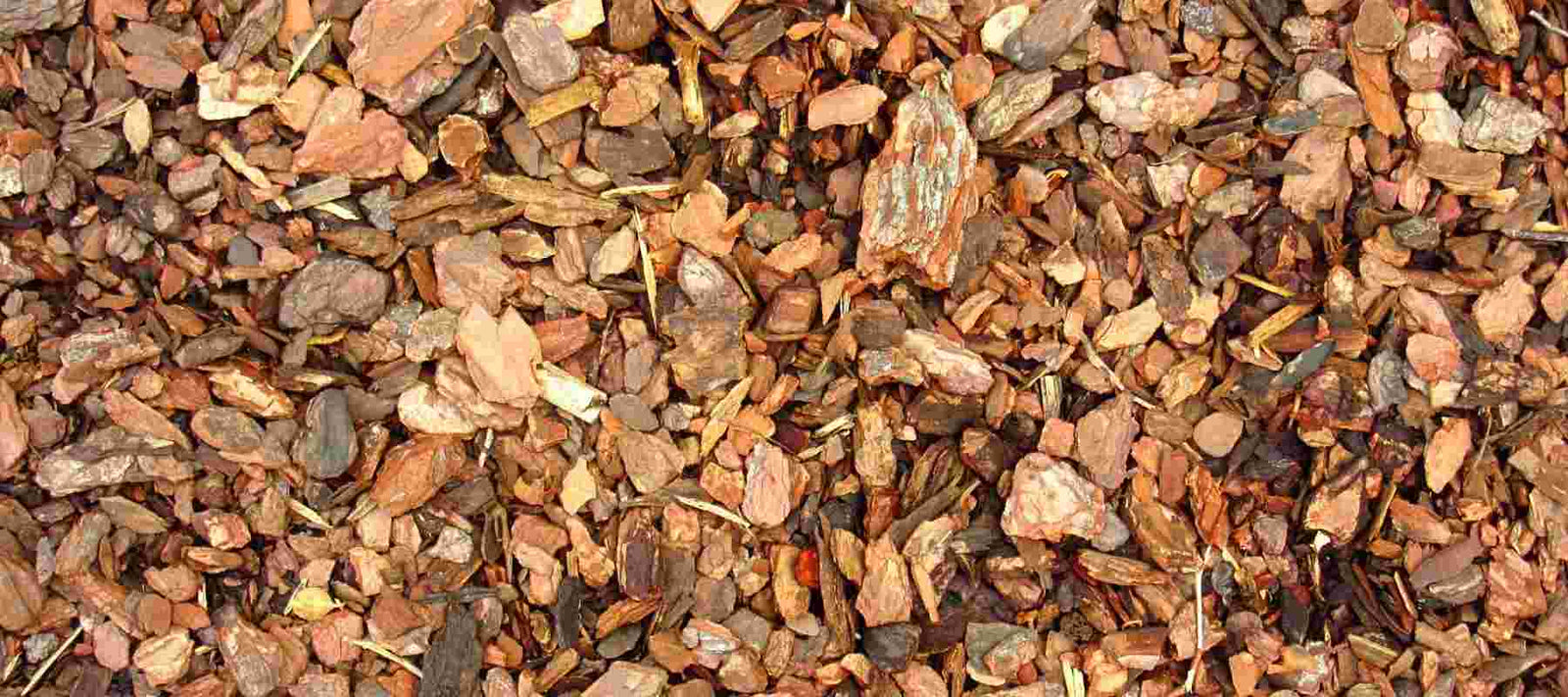 orchid growing media