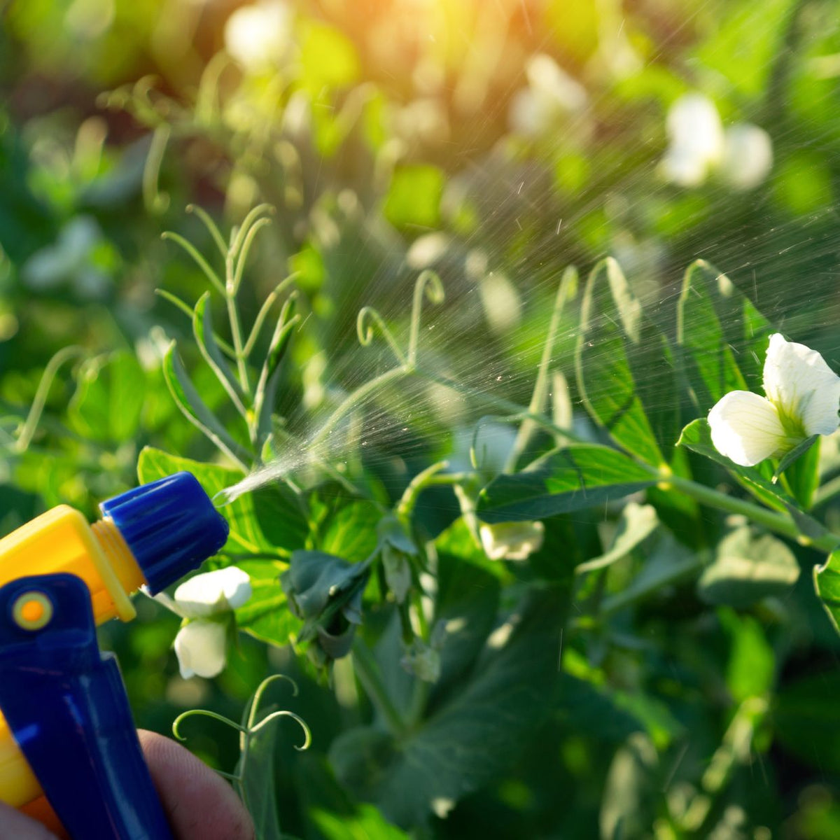 Spray Equipment