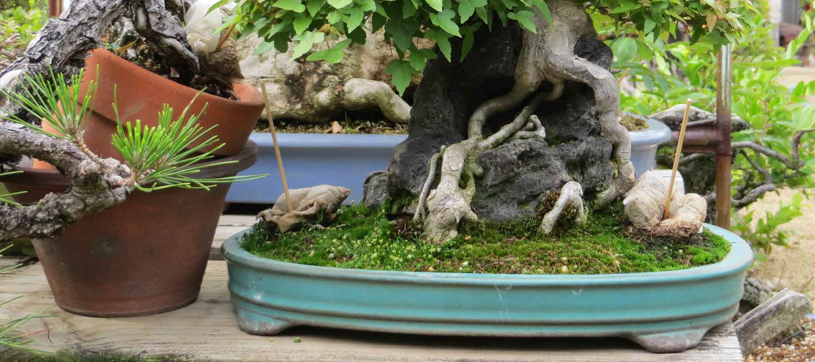 Fertilizers and Baskets