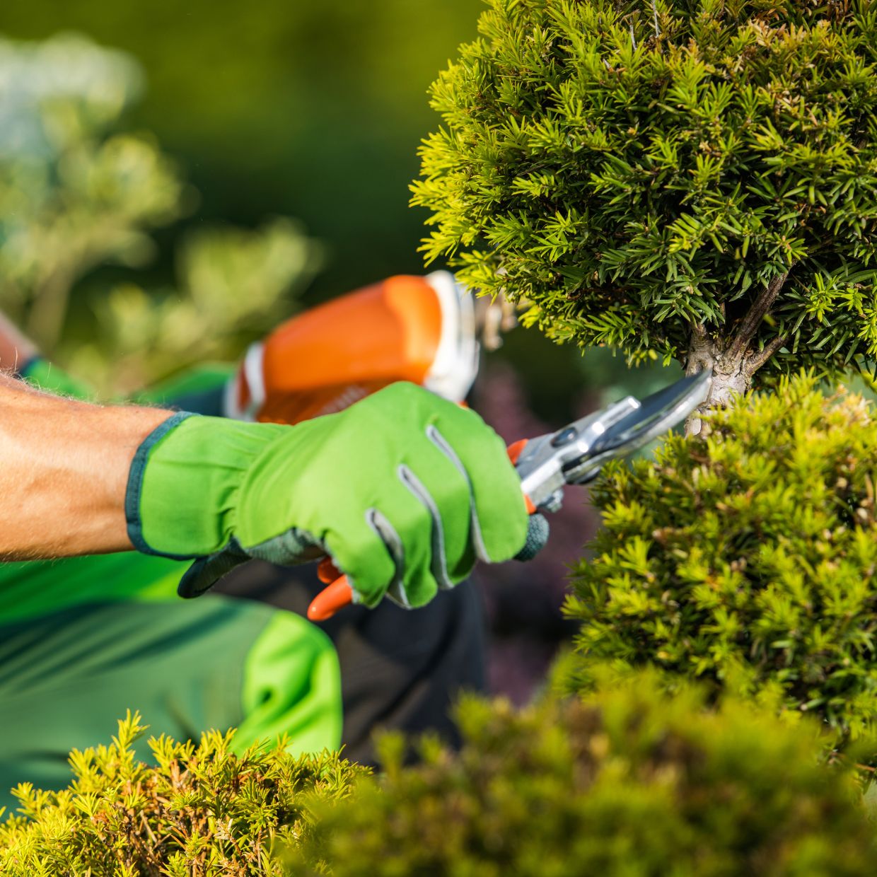 Garden Hardware and Tool