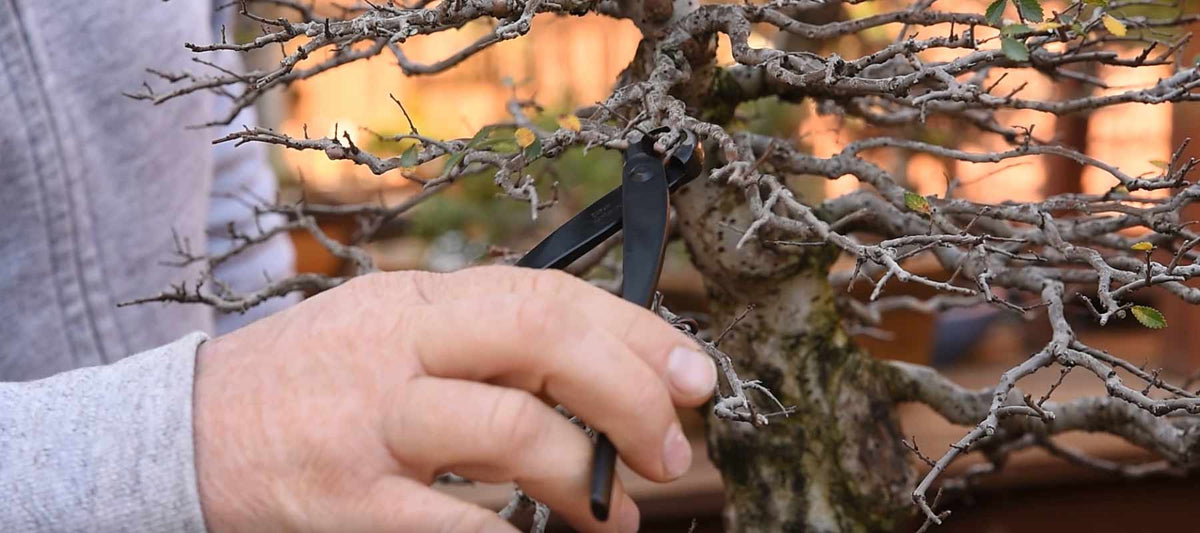 Knob Cutters