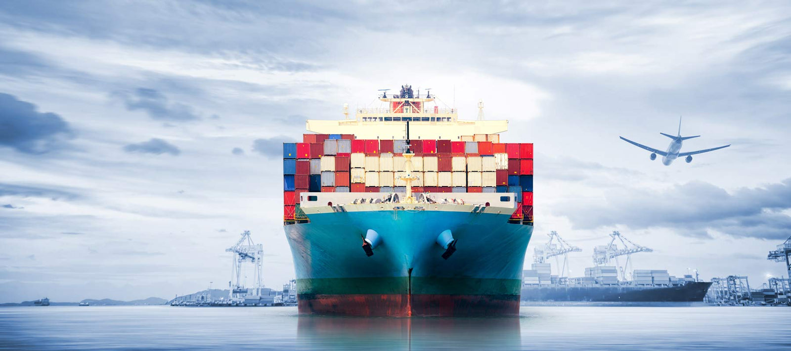 new products at bonsai tree