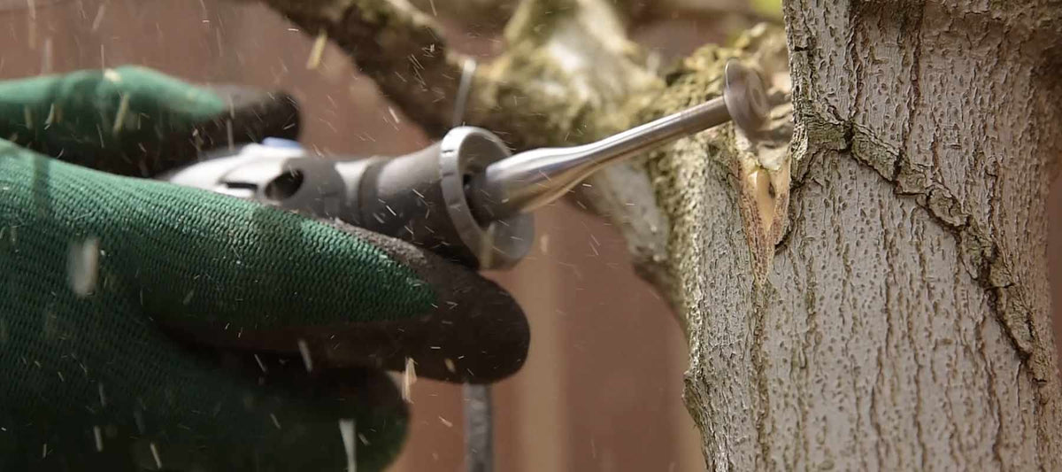 nibblers bonsai carving bits