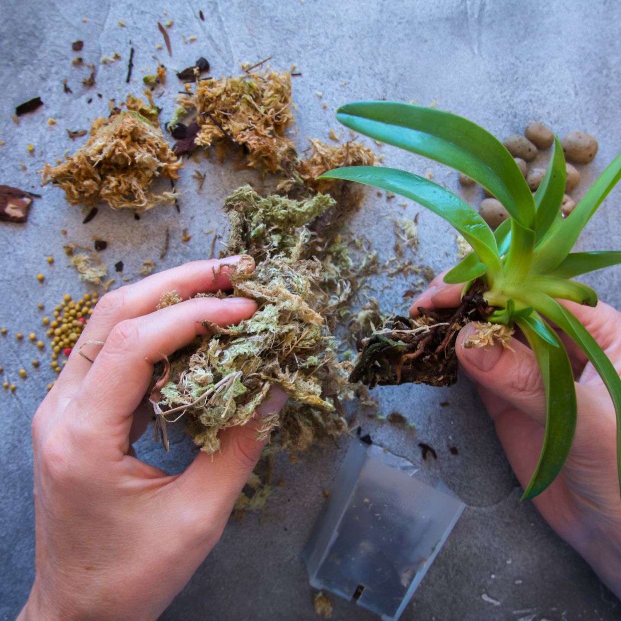 Orchid growing accessories