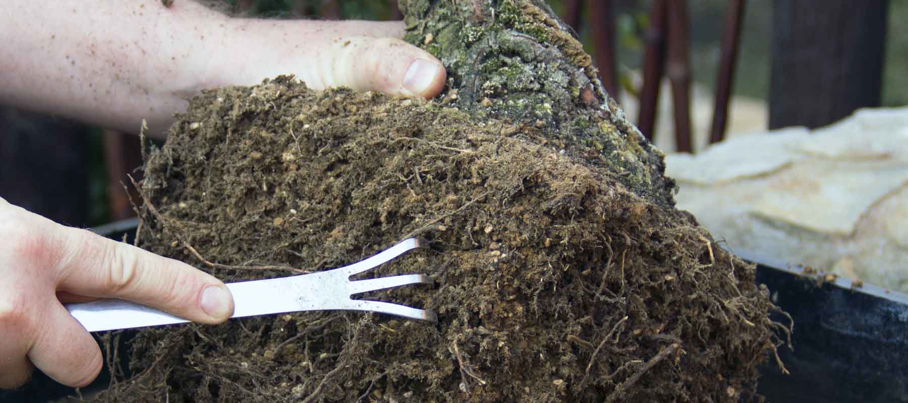 rakes for bonsai growers
