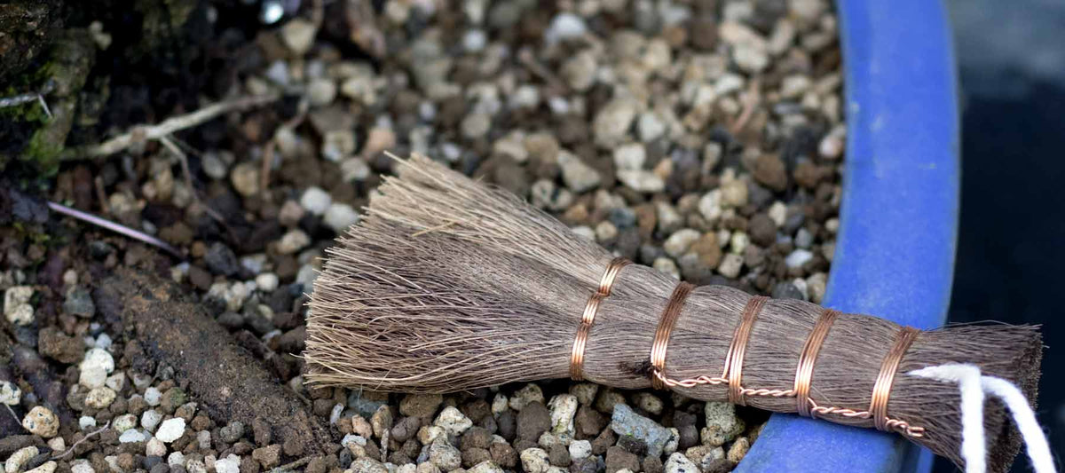 Brushes