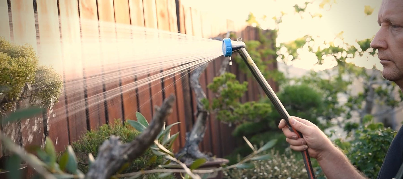 Watering Bonsai Tree (Pty) Ltd.
