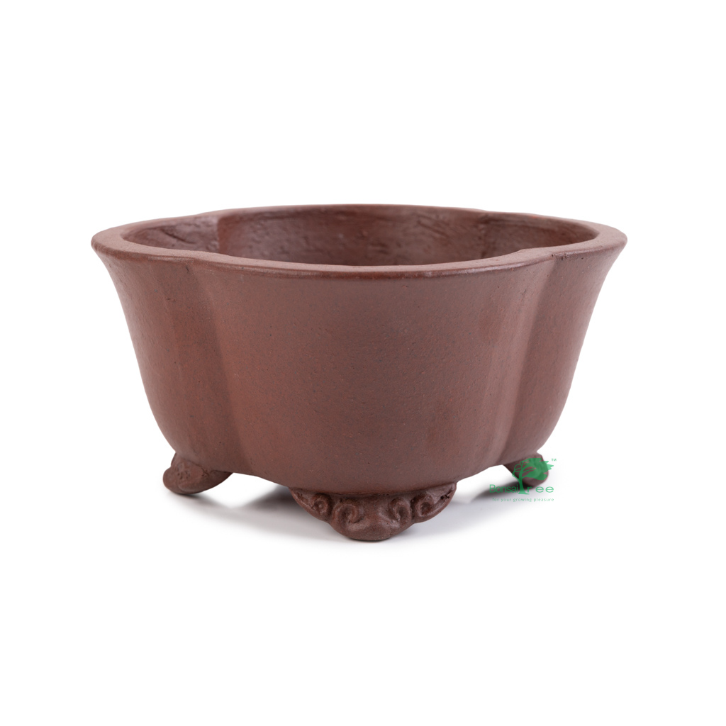 Mokko, unglazed bonsai pot, Shibakatsu, 134 x 134 x 67mm - - Pots