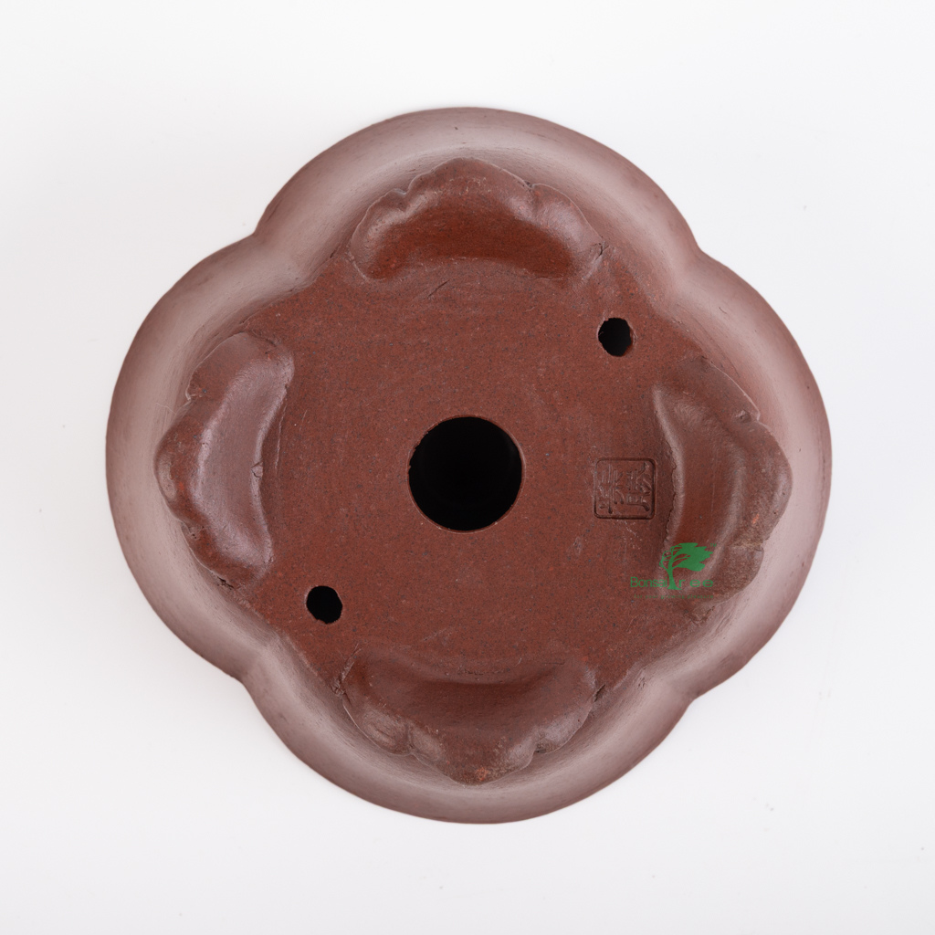 Mokko, unglazed bonsai pot, Shibakatsu, 134 x 134 x 67mm - - Pots