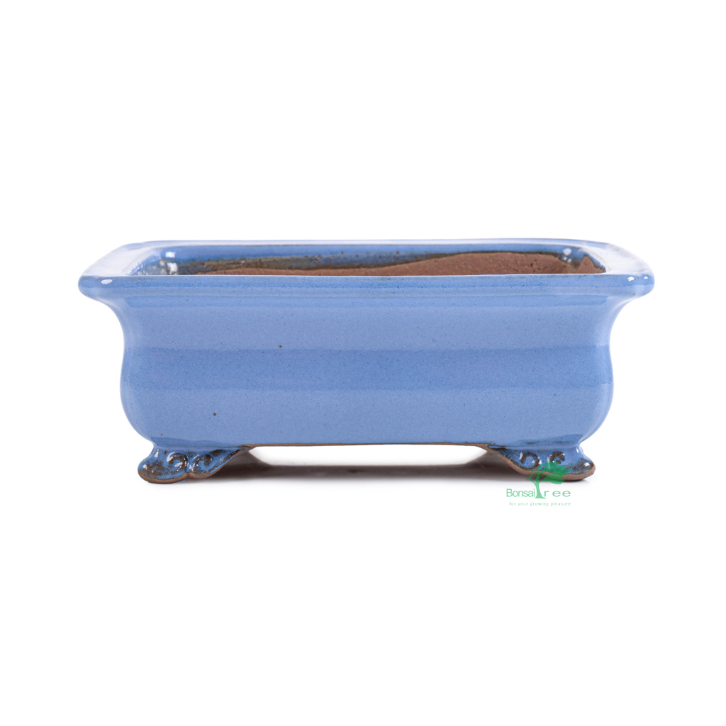 Rectangular, light blue bonsai pot, Shibakatsu, 187 x 143 x 69mm - - Pots