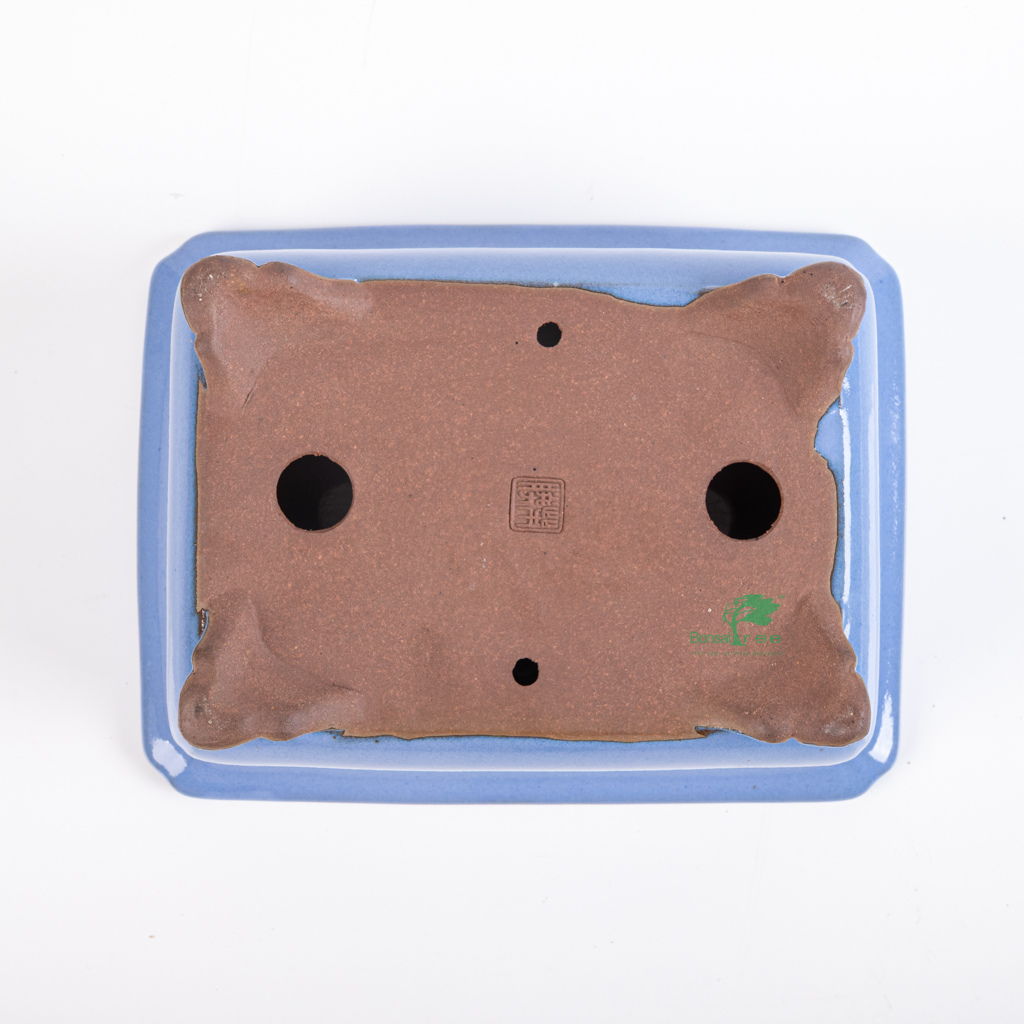 Rectangular, light blue bonsai pot, Shibakatsu, 187 x 143 x 69mm - - Pots