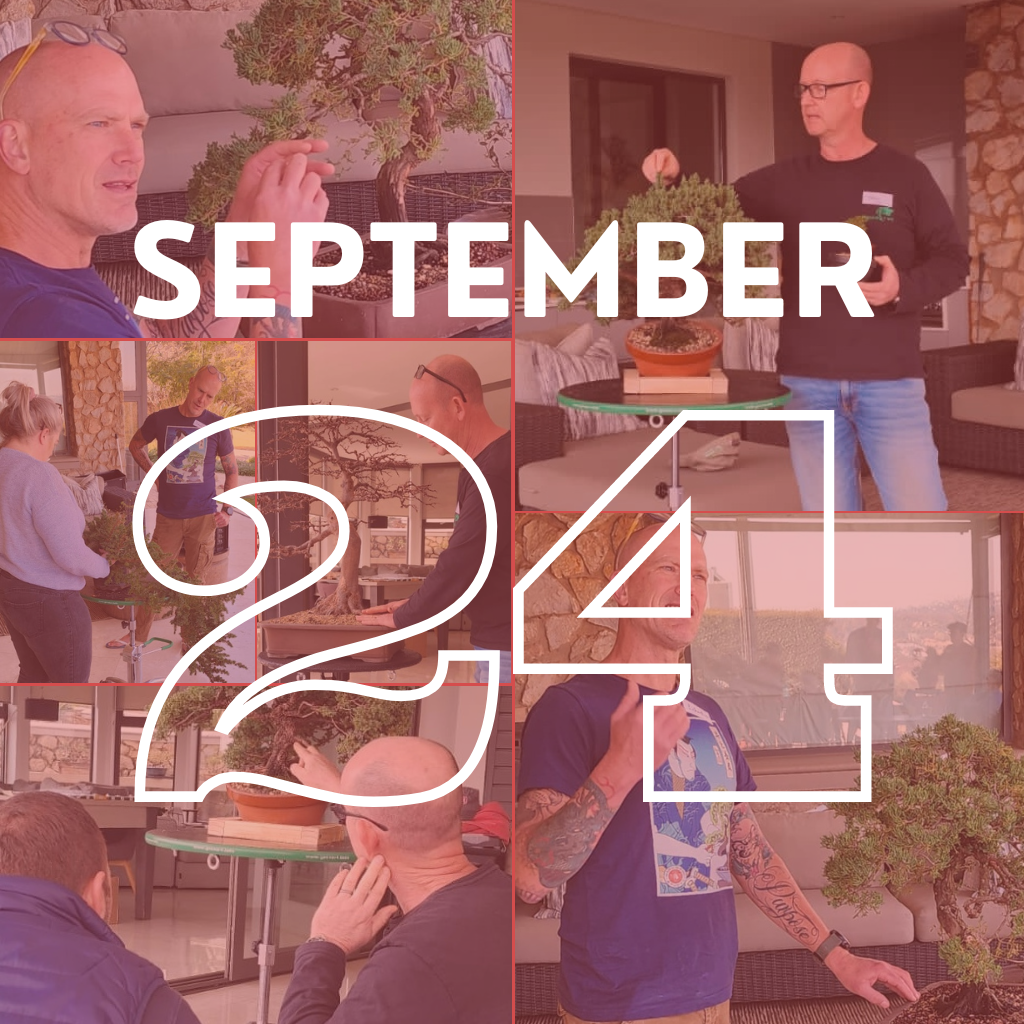 Advanced Bonsai Classes, 23 & 24th September, Port Elizabeth Bonsai