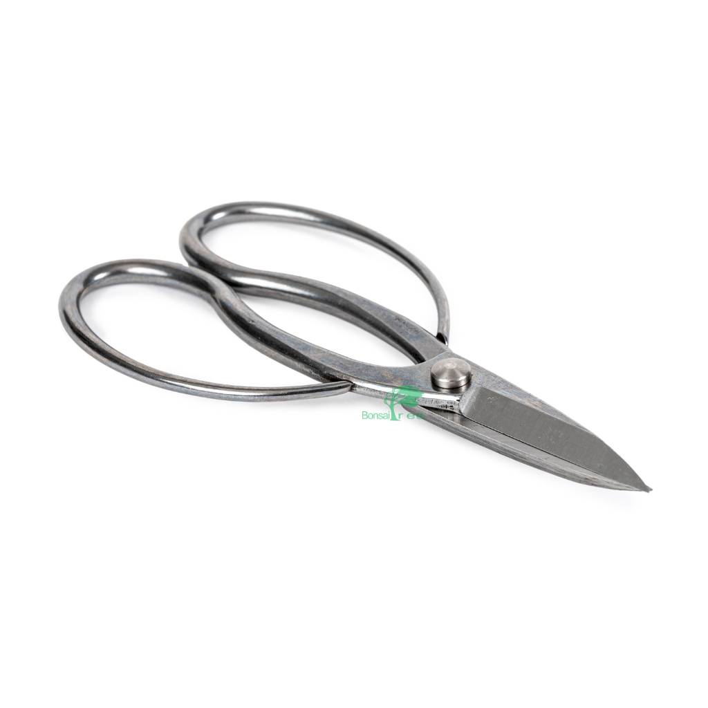 Stainless Steel General Scissors, 180mm by Kikuwa