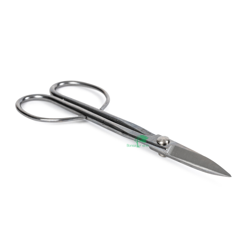 Stainless Steel Twig Scissors, 210mm by Kikuwa
