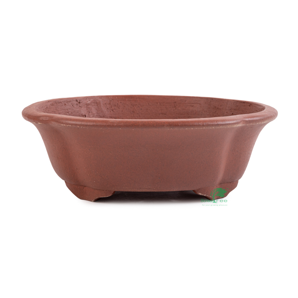 Mokko, unglazed bonsai pot, Shibakatsu, 185 x 168 x 61mm - - Pots