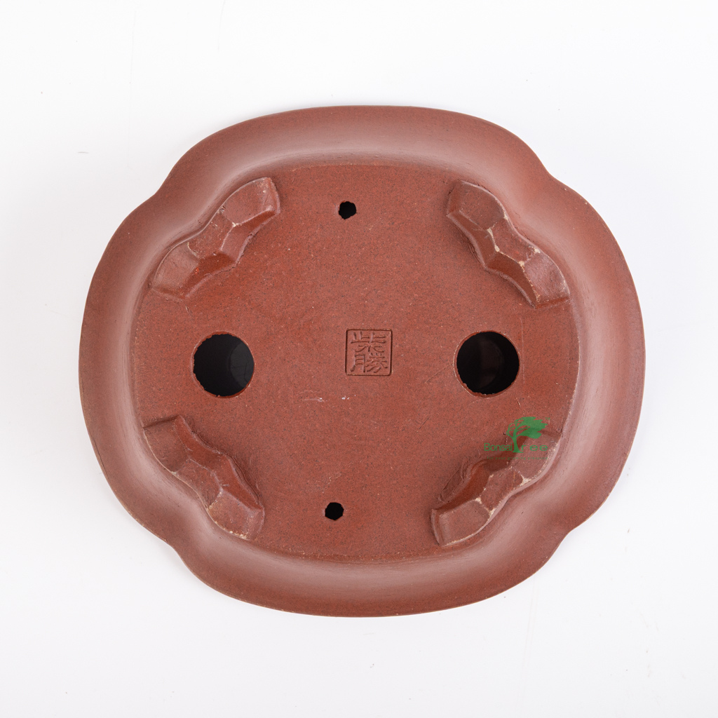 Mokko, unglazed bonsai pot, Shibakatsu, 185 x 168 x 61mm - - Pots