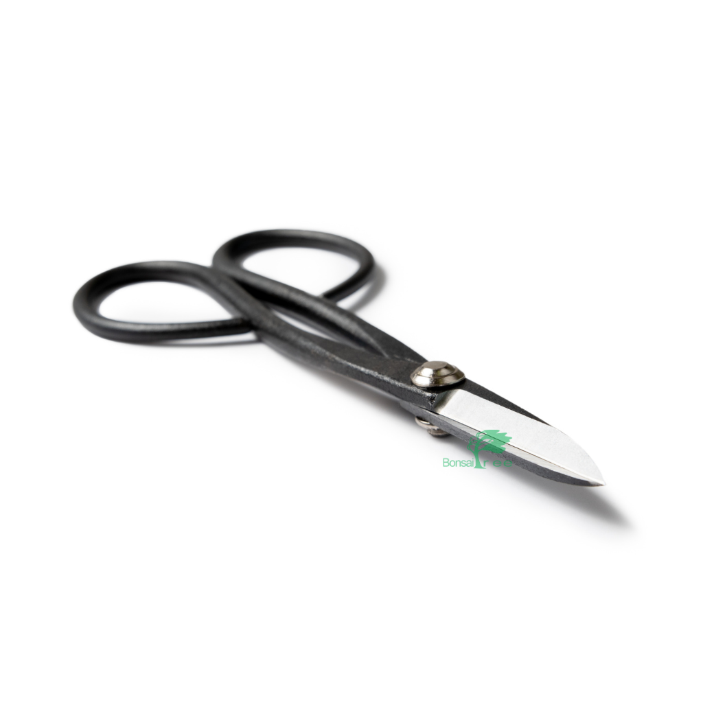 Kaneshin Bonsai Tool Set, 5pc -   - Tools