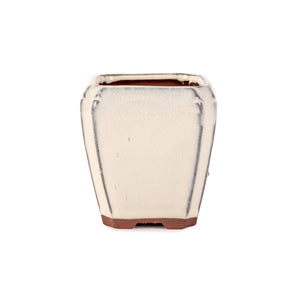 Assorted Glazed Cascade Pots, 6 x 6 x 9cm -  Ivory Square with rounded lip - Pots