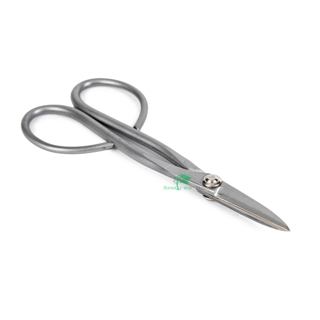 Stainless Steel Trimming Scissors, 180mm by Kikuwa