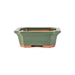 Assorted Glazed Bonsai Pots, 7" -  Green Decorative Rectangular with 17 x 12 x 6cm - Pots