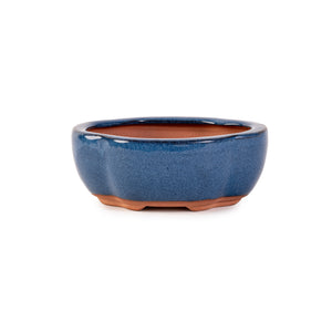 Assorted Glazed Bonsai Pots, 5" -  Blue Floriated, 12 x 10 x 4.5cm - Pots